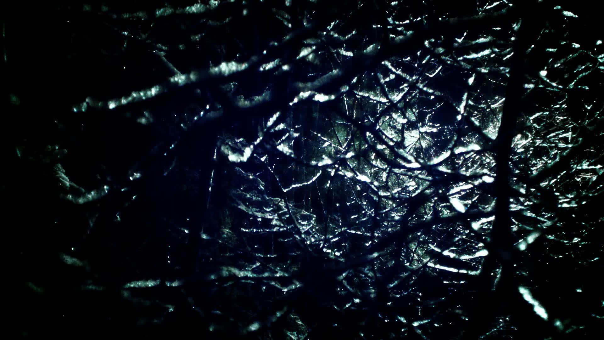 世界滑板公开赛线上直播观看人次创新高，世界滑板大赛视频