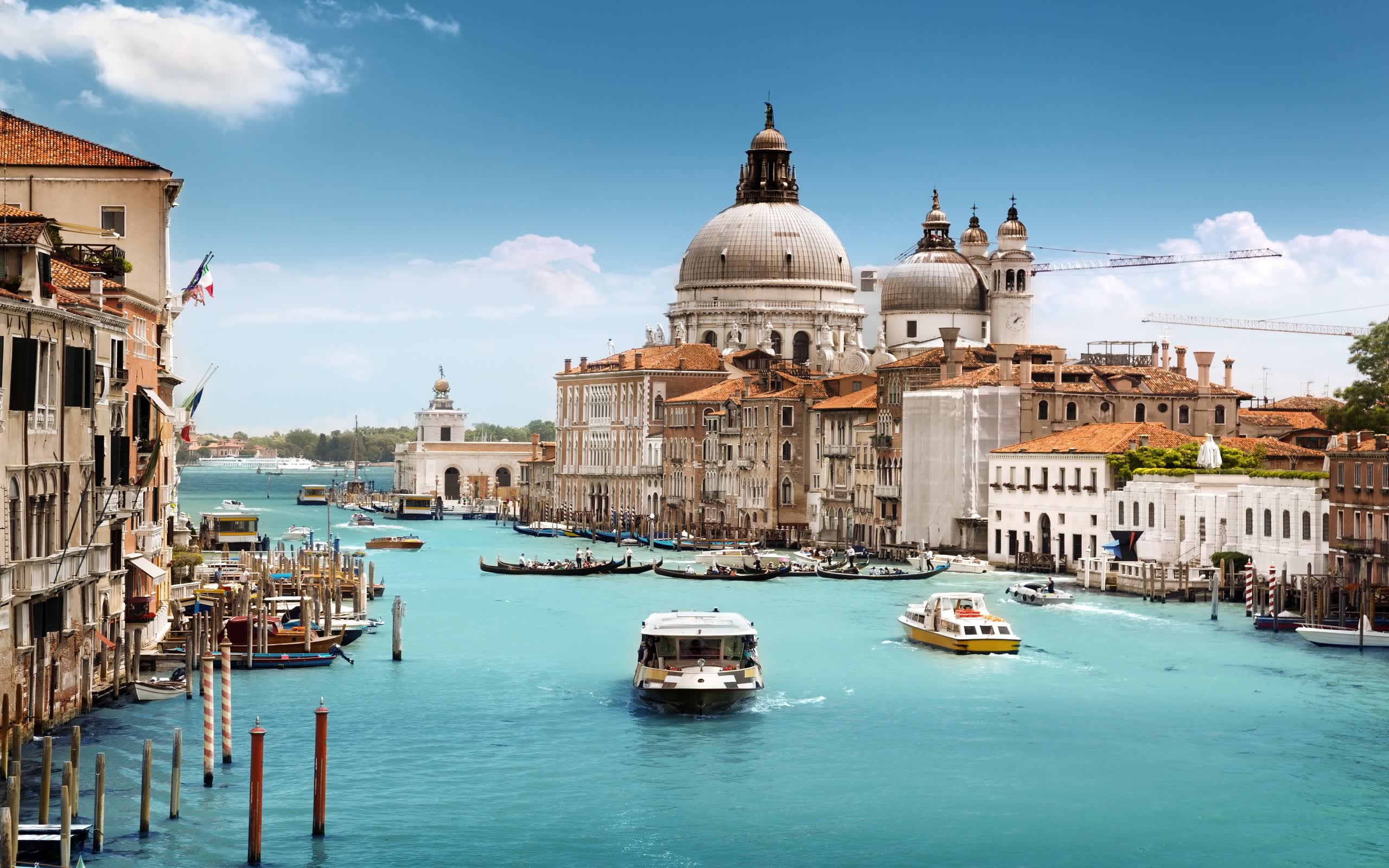 世界篮球联赛赛场氛围打造新模式，世界篮球联赛叫什么
